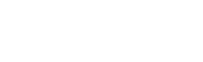 VD CONSULTORA